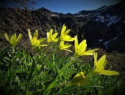 Primavera al Monte Campo, neve al Laghetto di Pietra Quadra -20magg21 - FOTOGALLERY